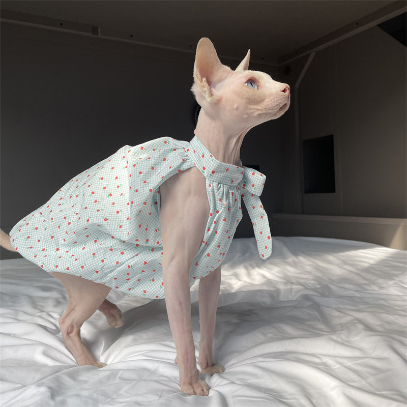 Summer Light Clothing - Cat Clothing in Summer Sweet Light