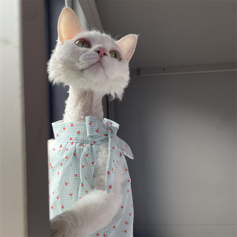 Cat Clothing in Summer Sweet L - огляд і ціна Summer Light Clothing