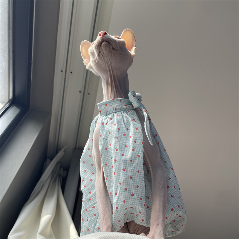 Cat Clothing in Summer Sweet L - огляд і ціна Summer Light Clothing