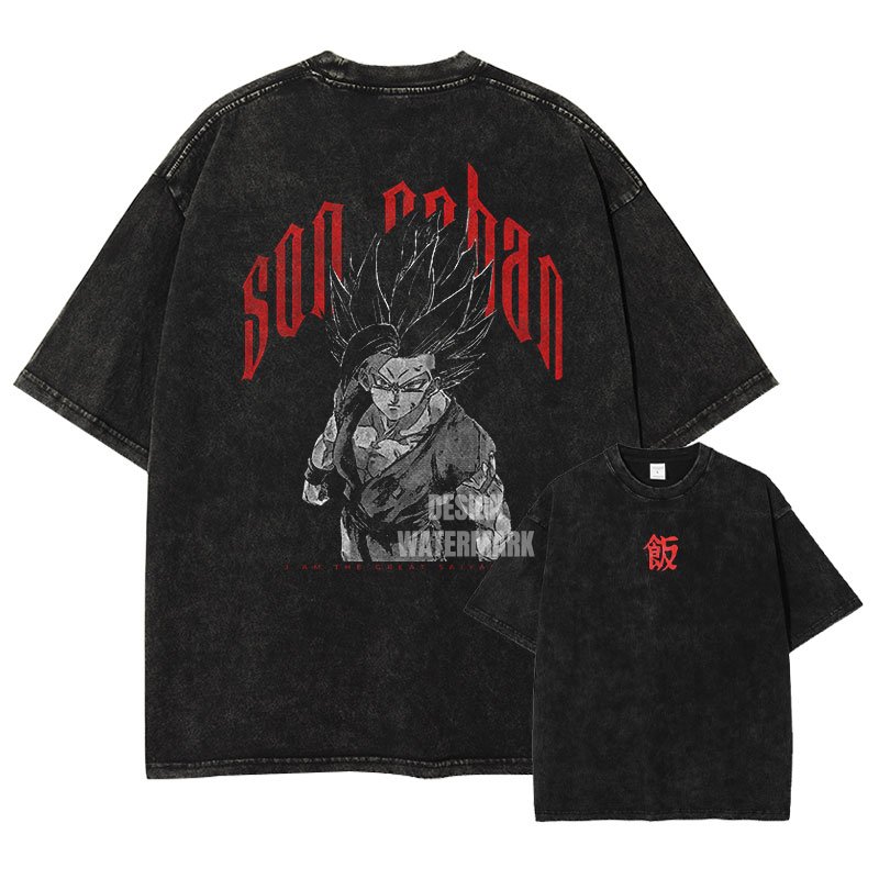 Washed 2026 Summer Dragon Ball - огляд і ціна Summer Clothing Ego